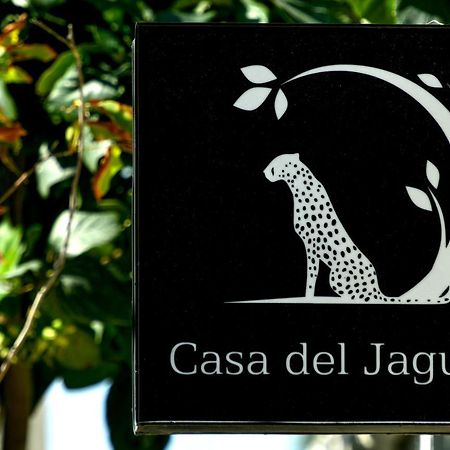 Casa Del Jaguar Beach Hotel อิสลามูเฮเรส ภายนอก รูปภาพ