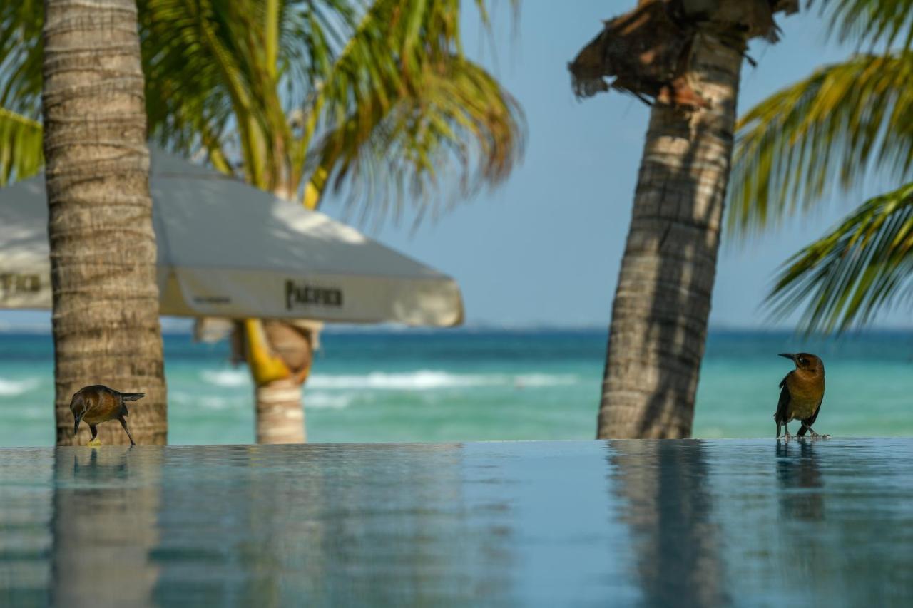 Casa Del Jaguar Beach Hotel อิสลามูเฮเรส ภายนอก รูปภาพ