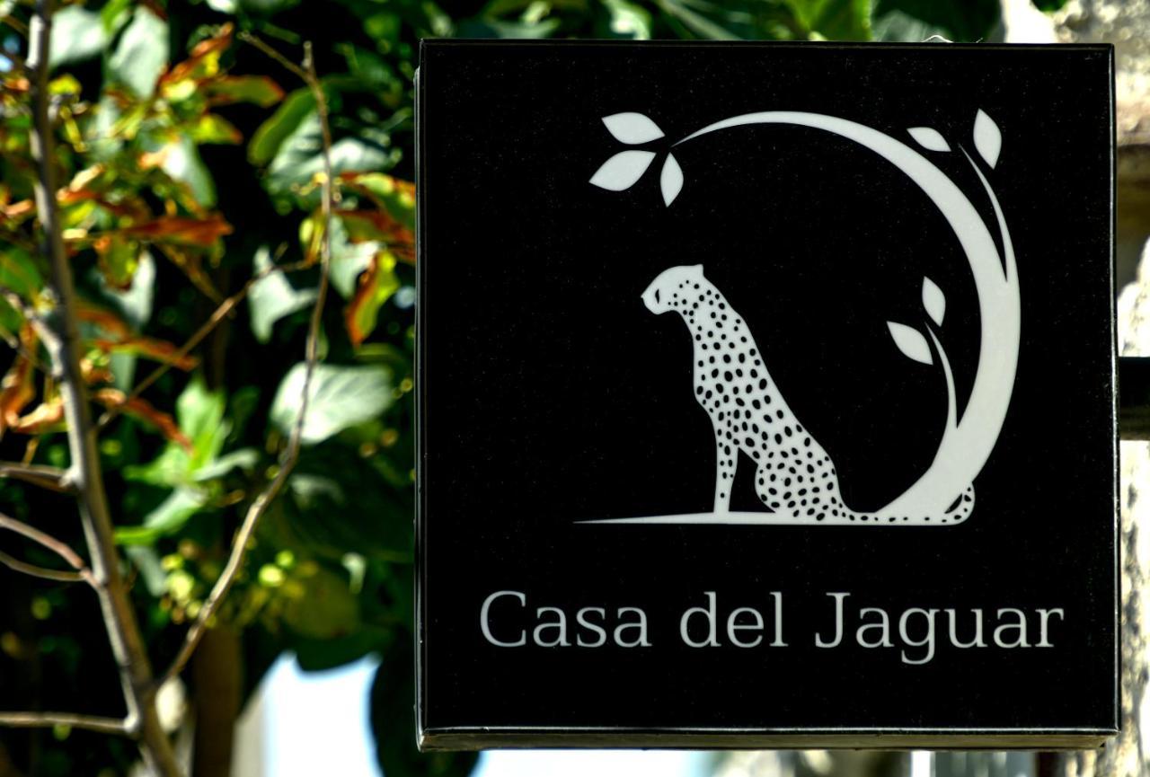 Casa Del Jaguar Beach Hotel อิสลามูเฮเรส ภายนอก รูปภาพ
